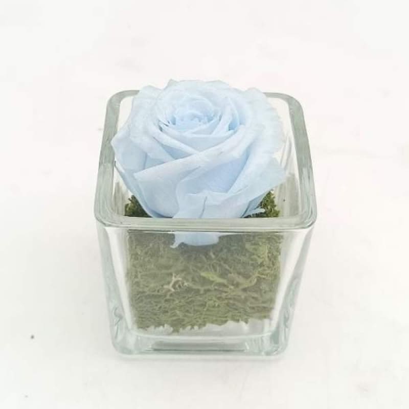 Mini Baby Blue C